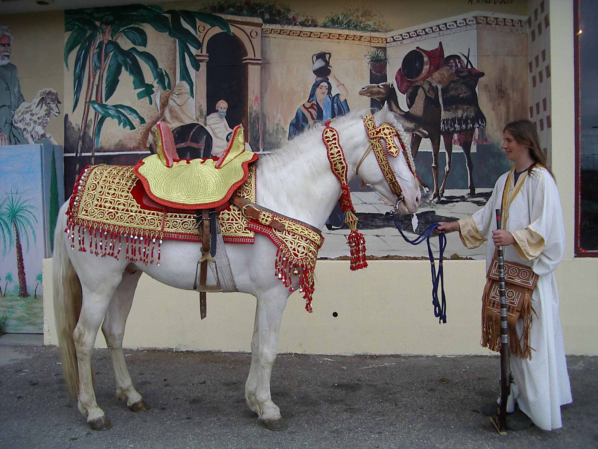 Présentation d'un cheval